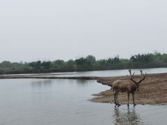 -宁波杭州湾国家湿地公园