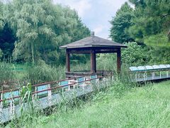 -同里国家湿地公园