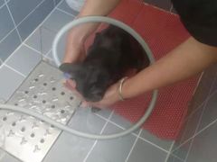 -宠颐生动物医院·心脏科·保险定点(锦阳分院)