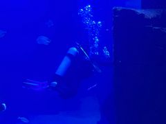 -石家庄海洋公园