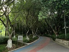 -翠屏公园