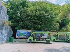 -青峰峡国家森林公园