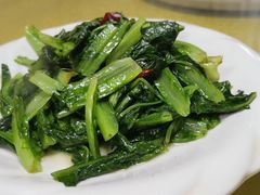 -煲来饱去冷水鱼