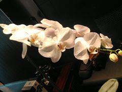 -浩运海鲜·16年专注青岛菜(石老人店)