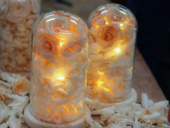 -五月木作·DIY木作文创体验店(北京路店)