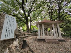 -叶家花园