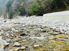 -沣峪森林公园龙潭戏水景区