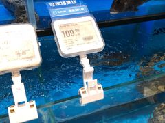 -盒马鲜生(皇庭广场店)