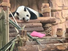 -泉州海丝野生动物世界