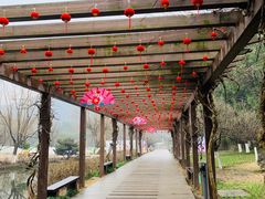 -白马涧龙池景区