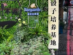 景点-老外滩