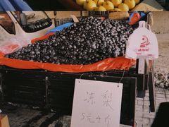 -蒲河大集