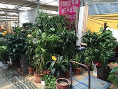 -秦美花卉(天朗·莱茵小城2期店)