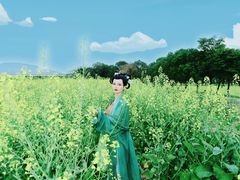-光明小镇欢乐田园