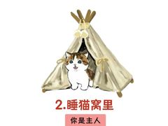 -北京派仕佳德动物医院·超导核磁·CT·神经科·骨科·内外科·急重症管理中心