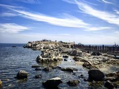 -养马岛旅游度假区