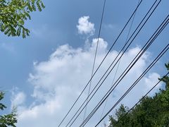 -青龙山国家森林公园