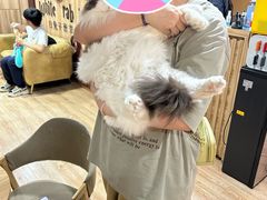 -白兔子密室(长寿路店)