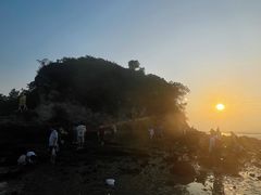 -盐洲岛
