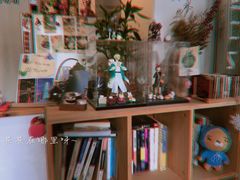 -拾年