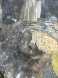 -Zoolung Zoolung动物主题公园(海信广场店)