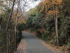 -紫金山山顶公园