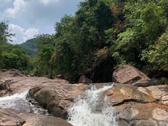 -广州白江湖森林公园