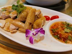 文昌鸡-龙泉人椰子鸡.糟粕醋.海南菜(三亚旗舰店)
