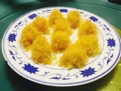-丁老爷子苏香圆