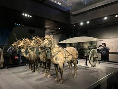 -秦始皇帝陵博物院-丽山园