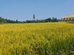 -中国天府农业博览园