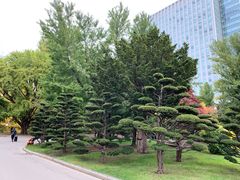 -北海道厅旧本厅舍(旧本庁舎)