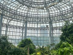 -郑州植物园