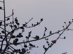 -广州雕塑公园