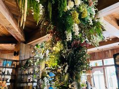 -一棵树·意大利西餐厅One Tree(新城店)