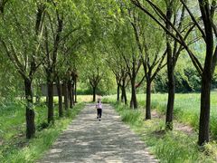 -长兴太湖图影湿地文化园