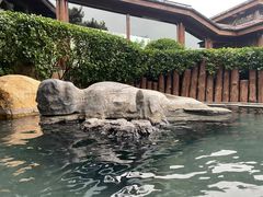 -威海天沐度假区温泉