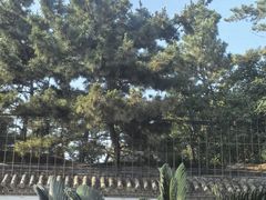 -宾朋海鲜特色美食餐厅·纯手工鲅鱼水饺(兴海路店)