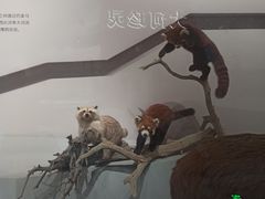 -武汉园博园(武汉自然博物馆)