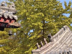-长安寺