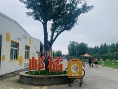 -前小桔亲子创意农场·草莓采摘·露营烧烤