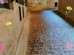 景点-1933老场坊