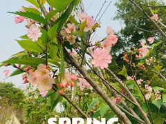 -福建鲤鱼洲酒店