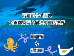 -珠海长隆海洋王国