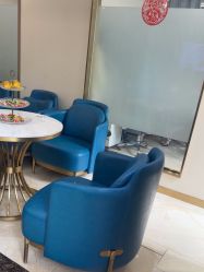 -碧莲盛·不剃发植发