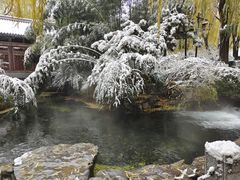 -趵突泉景区