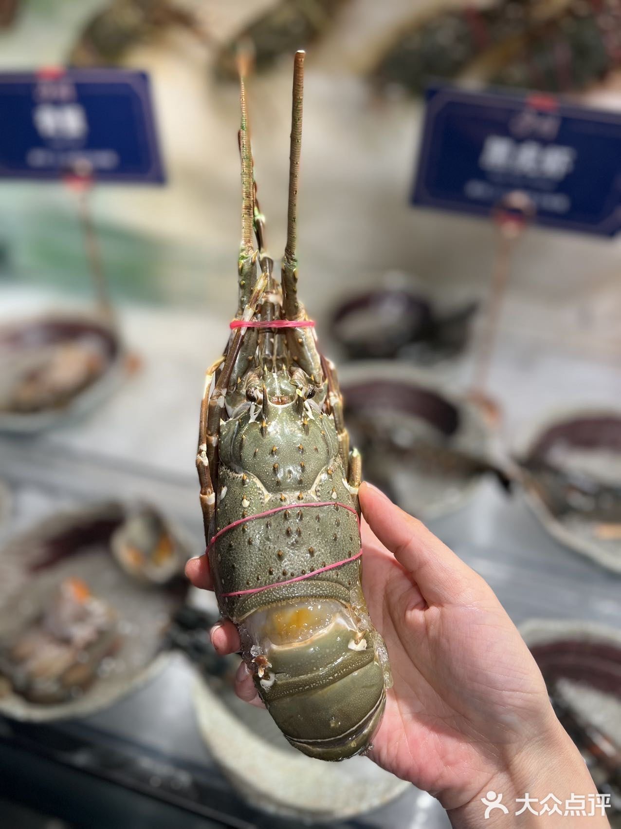 魔都海鲜自助天花板，名贵食材的集会
