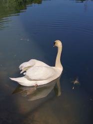 点击看大图 -尚圣月子会所·庄园式月子中心(萧山湘湖店)