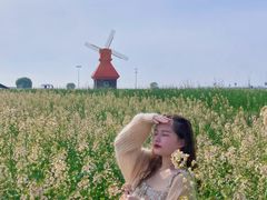 -杭州湾海上花田景区