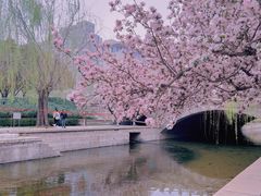 -海棠花溪(元大都城垣遗址公园)